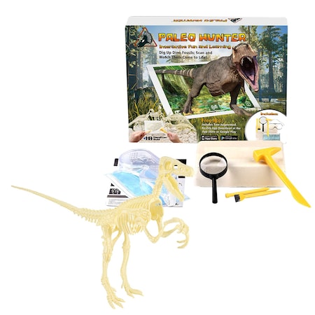 Hamiltonbuhl Paleo Hunter Dig Kit for STEAM Education - Velociraptor Rex PH-VRT